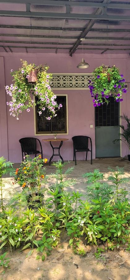 The Purple House Apartment Siem Reap Ruang foto